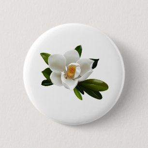 vitmagnoliablom knapp
