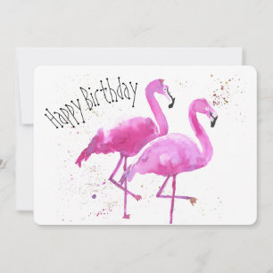 Vitmiskt, flamingo, platta födelsedagskort julkort
