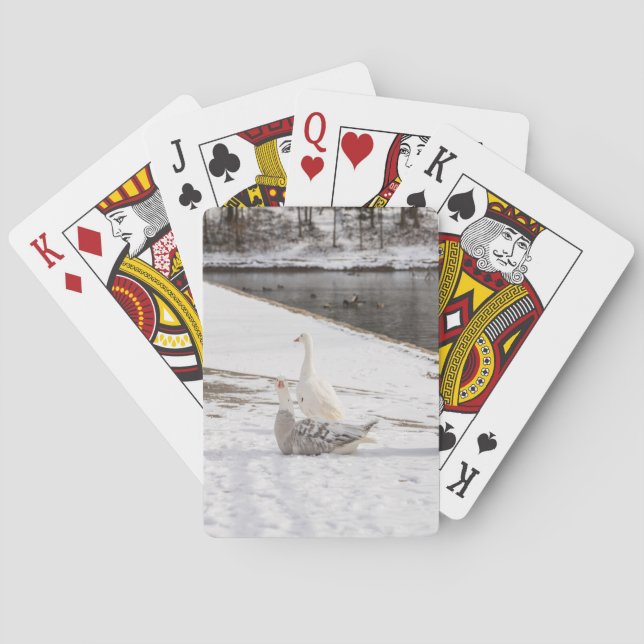 Vitor upp gäss casinokort (Baksidan)