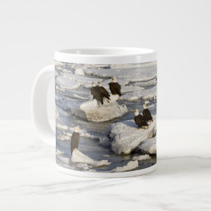 Vitörad havsörn, Haliaeetus leucocephalus, Homer, Jumbo Mugg
