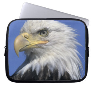 Vitörad havsörn, (Haliaeetus leucocephalus), vild, Laptop Fodral