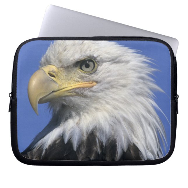 Vitörad havsörn, (Haliaeetus leucocephalus), vild, Laptop Fodral (Framsidan)