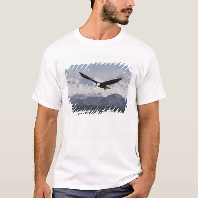 Vitörad havsörn under flykt, Haliaeetus leucocepha T Shirt (Framsida)