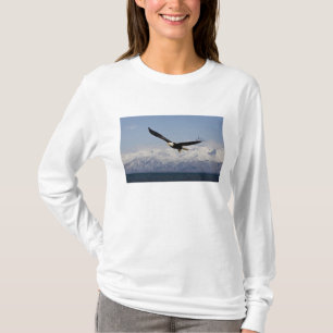 Vitörad havsörn under flykt, Haliaeetus leucocepha T-shirt