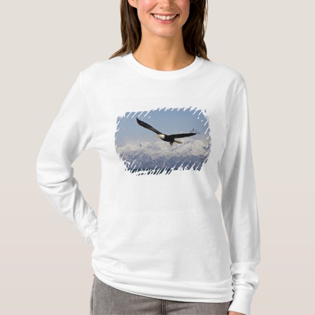 Vitörad havsörn under flykt, Haliaeetus leucocepha T Shirt (Framsida)