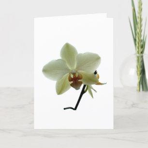 VitOrchid Helgkort