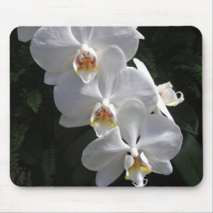VitOrchid Mousepad Musmatta