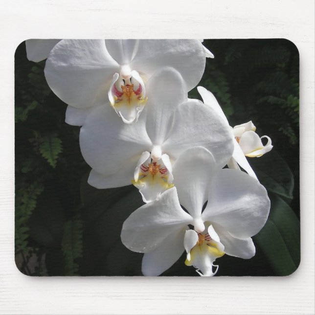 VitOrchid Mousepad Musmatta (Framsidan)