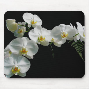 VitOrchid Mousepad Musmatta