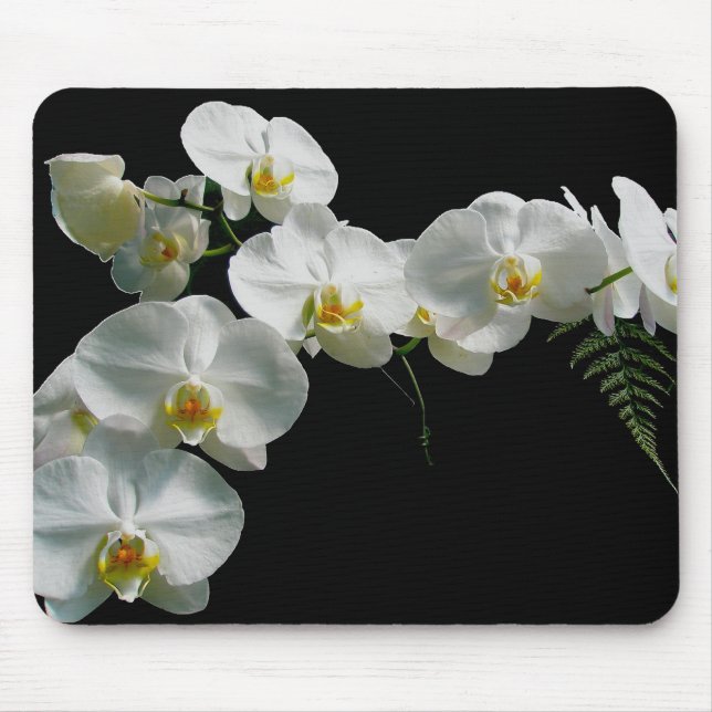 VitOrchid Mousepad Musmatta (Framsidan)