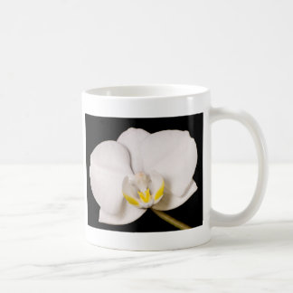 VitOrchid på svart Kaffemugg