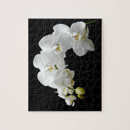 VitOrchidblommar Pussel