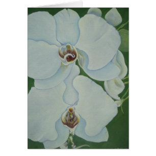 VitOrchids Hälsningskort