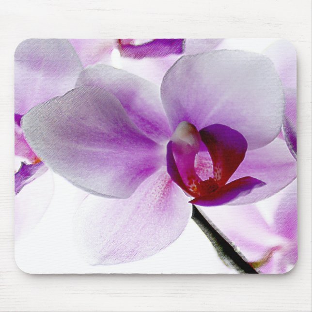VitOrchids Musmatta (Framsidan)