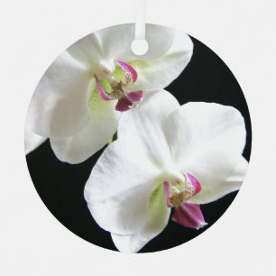 VitOrchids på svart Julgransdekoration