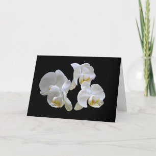 VitOrchids på svarten - elegantt kort