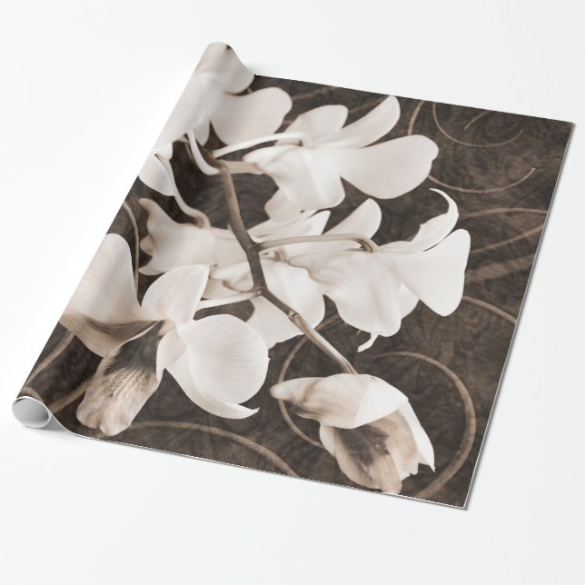 Vitorkid Blommor Sepia Black Background blommigt Presentpapper (Utrullad)