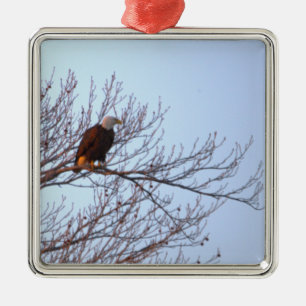 Vitörn Ornament