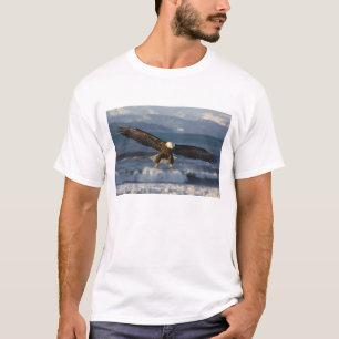 Vitörnad havsörn, Haliaeetus leucocephalus, Homer, T-shirt