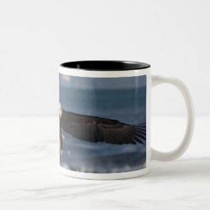 Vitörnad havsörn, Haliaeetus leucocephalus, Homer, Två-Tonad Mugg