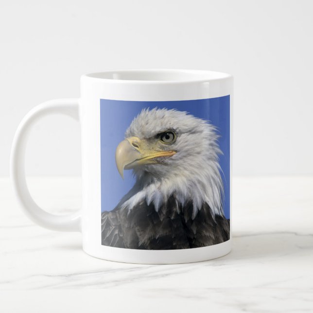 Vitörnad havsörn, (Haliaeetus leucocephalus), vild Jumbo Mugg (Vänster)