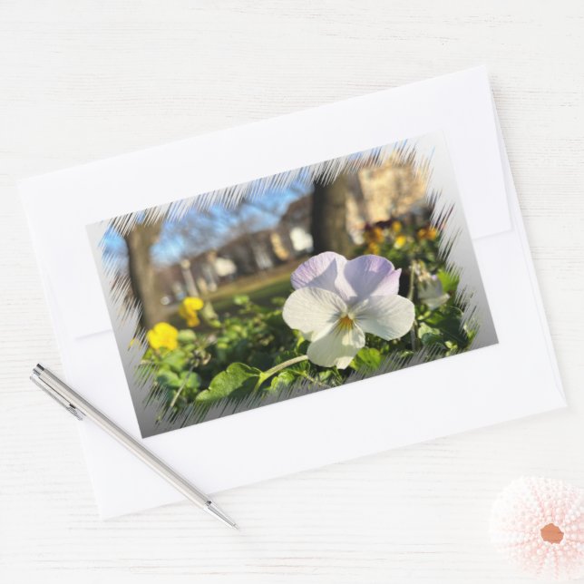 Vitpansy silver rektangulärt klistermärke (Kuvert)