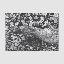 VITPEACOCK OCH BLACK AV VETpapper