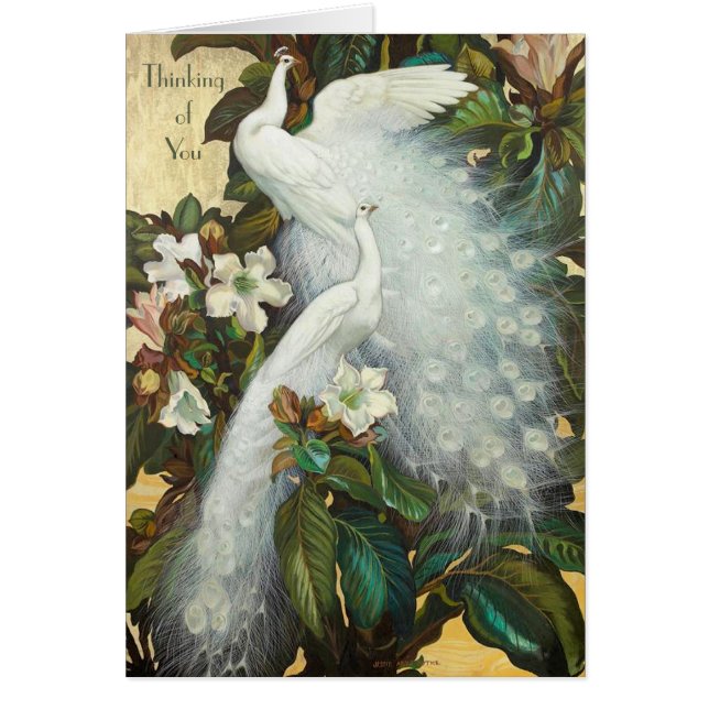 Vitpeacocks Roosting Hälsningskort (Framsidan)