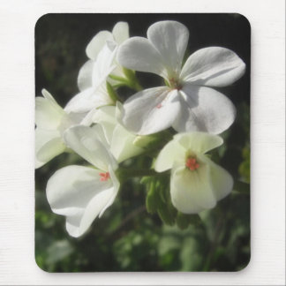 Vitpelargoner 1 - enkla nöjen musmatta