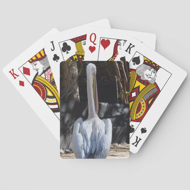 Vitpelikan som leker kort spelkort (Baksidan)