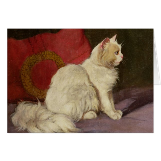 Vitperserkatt Hälsningskort (Framsidan Horizontal)