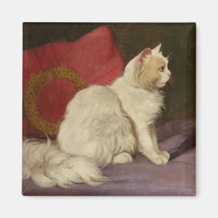 Vitperserkatt Magnet
