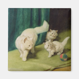 Vitperserkatt med två kattungar magnet