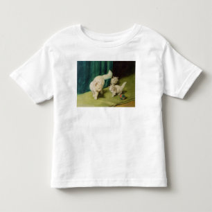 Vitperserkatt med två kattungar tee shirt