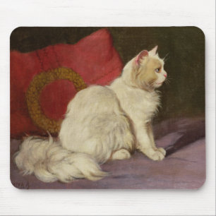 Vitperserkatt Musmatta