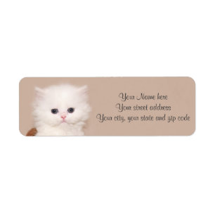 Vitperserkattunge Returadress Etikett