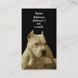 Vitpitbullvisitkort Visitkort