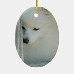 VitPomeranian prydnad Julgransprydnad Keramik