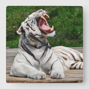 Vitr Tiger, Bengalisk Tiger Väggklocka