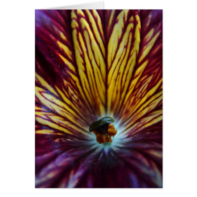 Vitraux Hälsningskort (Framsidan)