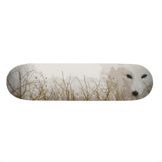 Viträv Old School Skateboard Bräda 18 Cm