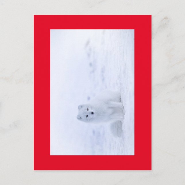 VITRÄV VYKORT (Framsida)