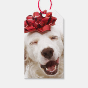 VITRETRIEVER MED RED BOW GIFT MÄRKRE PRESENTETIKETT