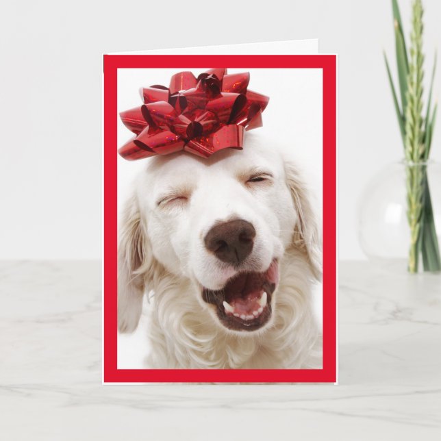 VITRETRIEVER WEARING BOW GOTT NYTT ÅR CARD TACK KORT (Framsida)