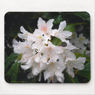 VitRhododendron Mousepad Musmatta