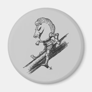 Vitriddare Magnet