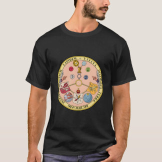 Vitriol RosiCrucian Secret Symbols Alchemy T Shirt