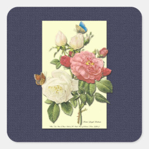 VitRosa Vintage Botaniskt Ro Sticker Fyrkantigt Klistermärke