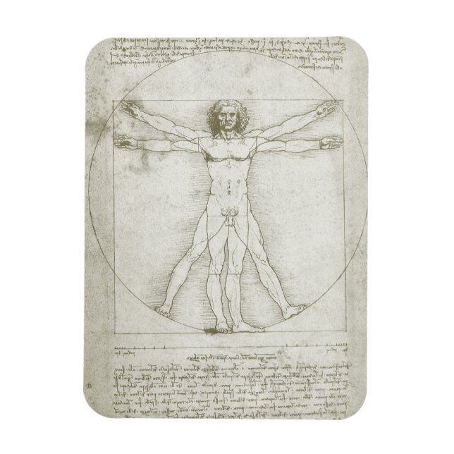 Vitruvian Man av Leonardo da Vinci Magnet (Vertikal)