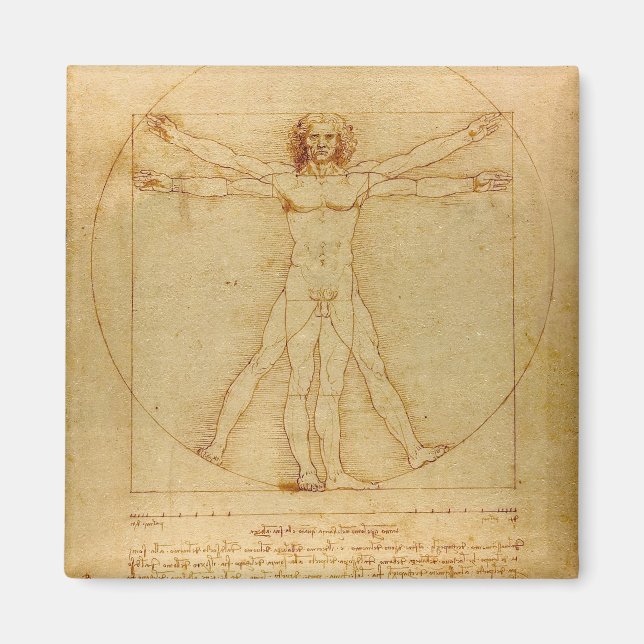 Vitruvian Man av Leonardo Da Vinci Magnet (Framsidan)